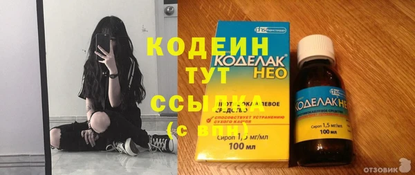 гашик Костерёво