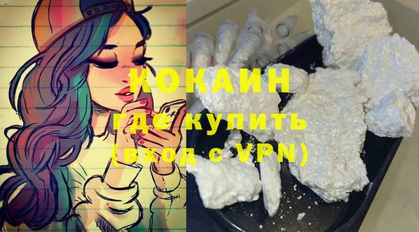 гашик Костерёво