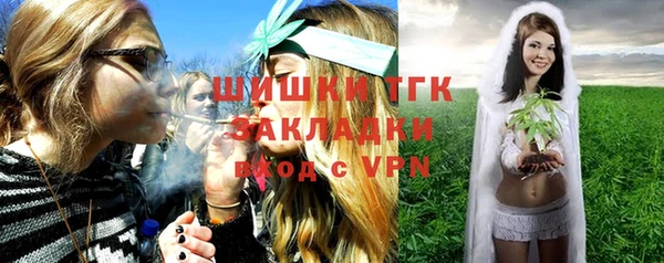 гашик Костерёво