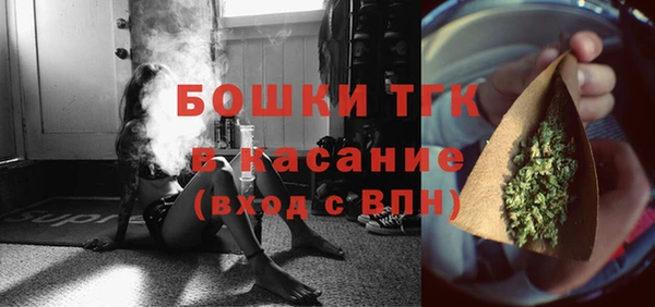 гашик Костерёво